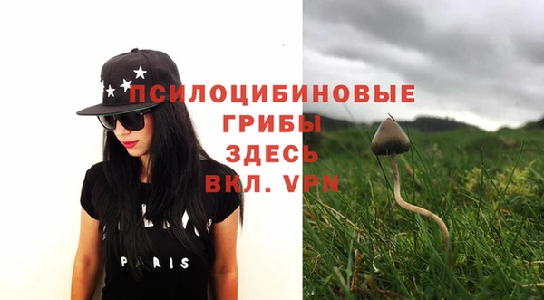мдма Елизово