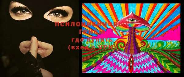 мдма Елизово