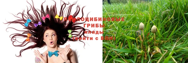 ALPHA-PVP Ельня