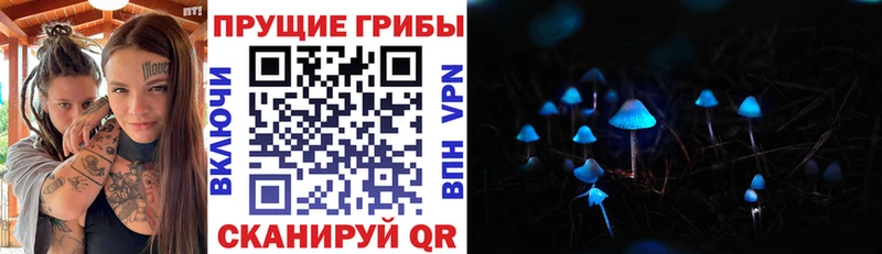 Псилоцибиновые грибы GOLDEN TEACHER  Терек 