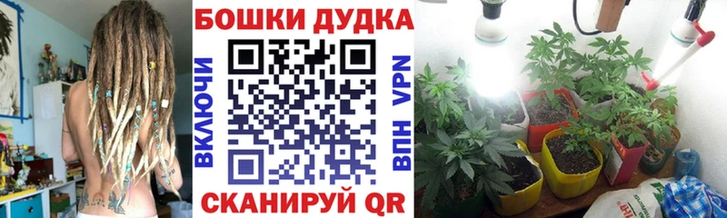 МАРИХУАНА MAZAR  Терек 